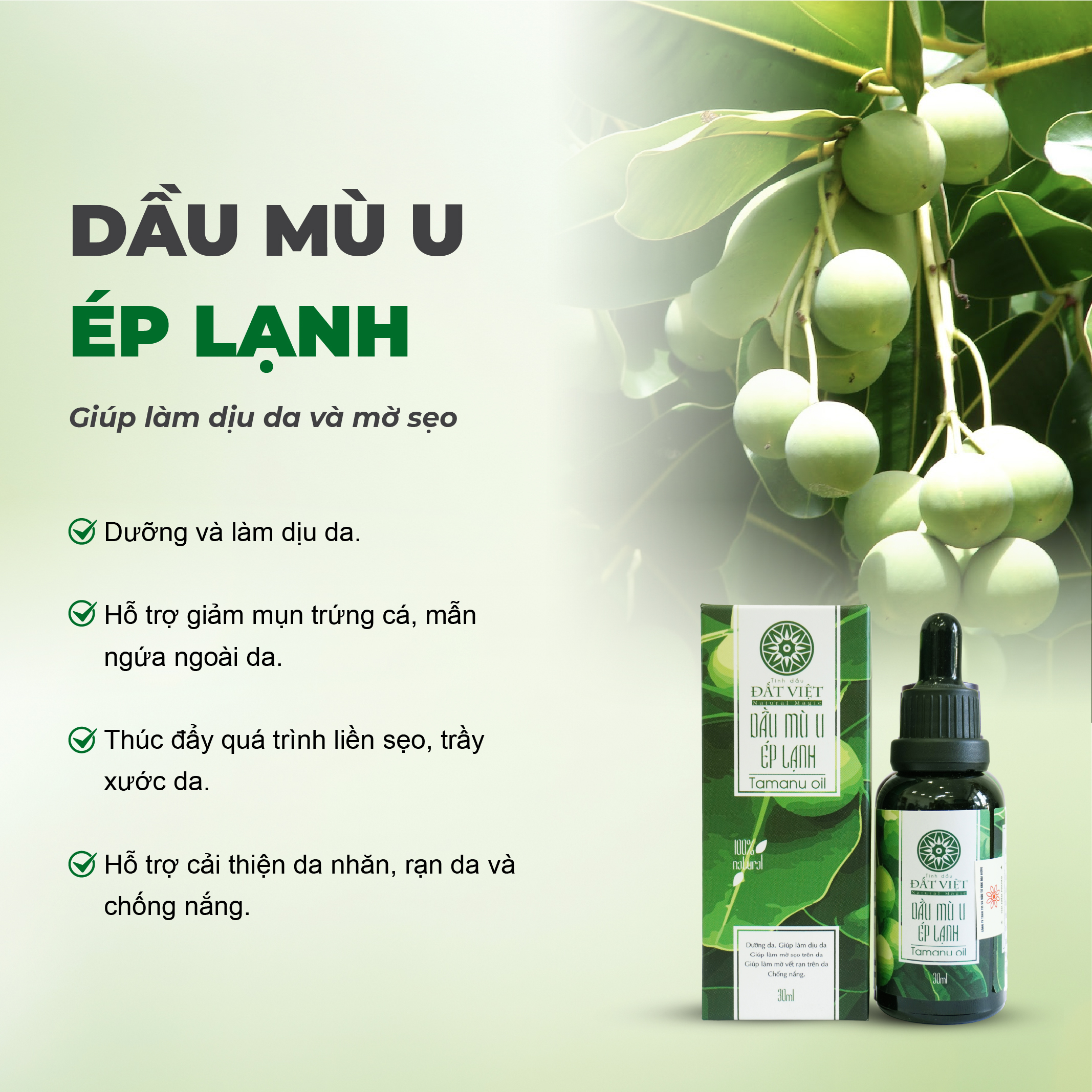 Mô tả Combo 3 chai dầu mù u ép lạnh nguyên chất Đất Việt dung tích 10ml và 30ml - An toàn cho bé sơ sinh - 4