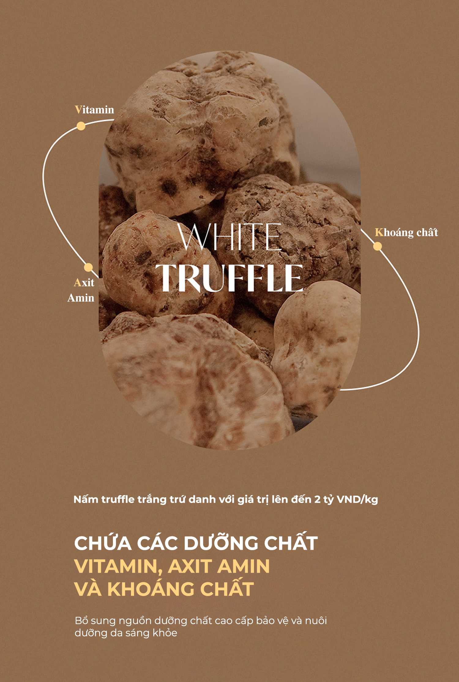 Mô tả Kem Chống Nắng Nâng Tone - Bảo Vệ Da Toàn Diện Neogen Dermalogy White Truffle Treatment Sun Screen 50ml - 5
