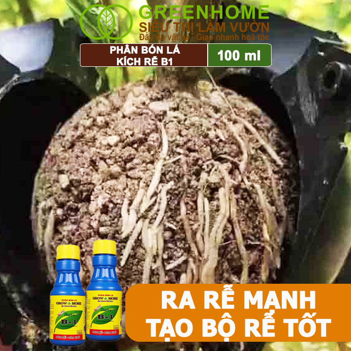 Phân bón kích rễ Greenhome B1 giúp rễ khỏe