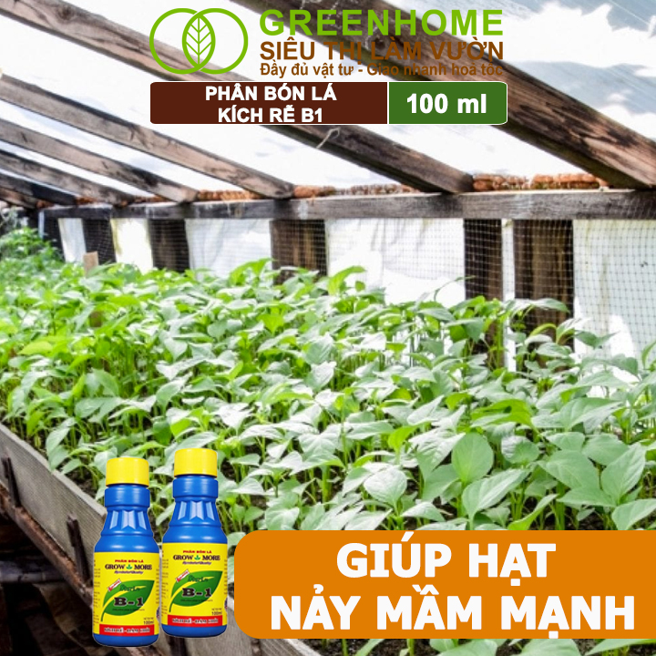 Greenhome B1 giúp lá dày xanh