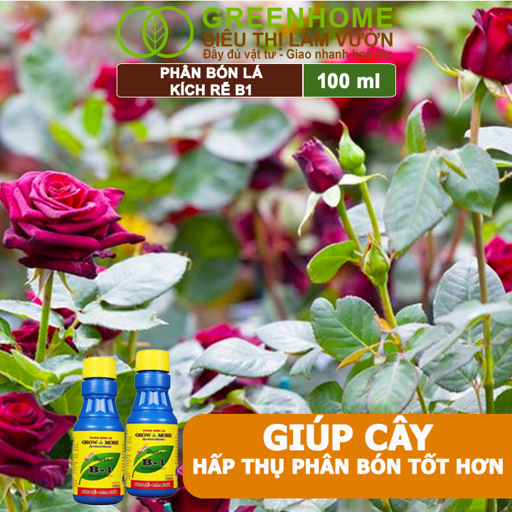 Greenhome B1 cho hoa lan, cây cảnh