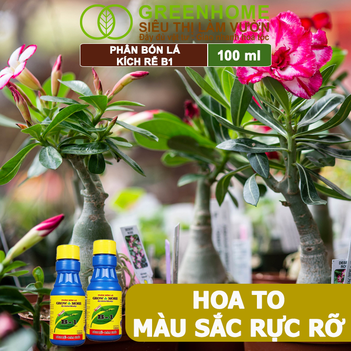 Greenhome B1 giúp cây sai hoa