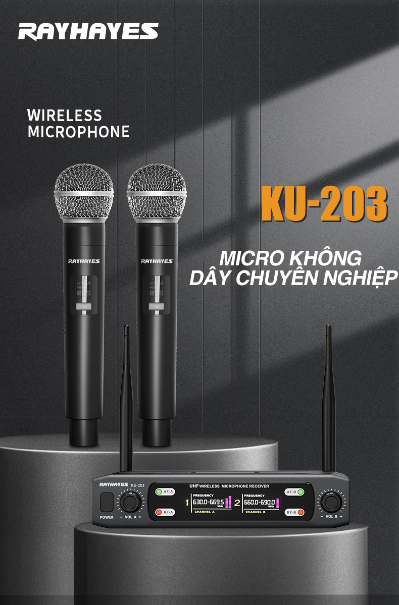RAYHAYES Micro không dây DUAL chuyên nghiệp Micro có thể sạc lại cho hệ ...