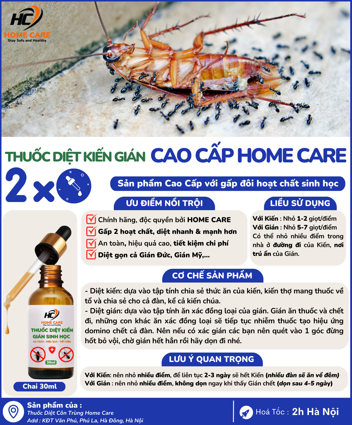 Thuốc Diệt Kiến Tại Hà Nội - Giải Pháp Hiệu Quả Và An Toàn