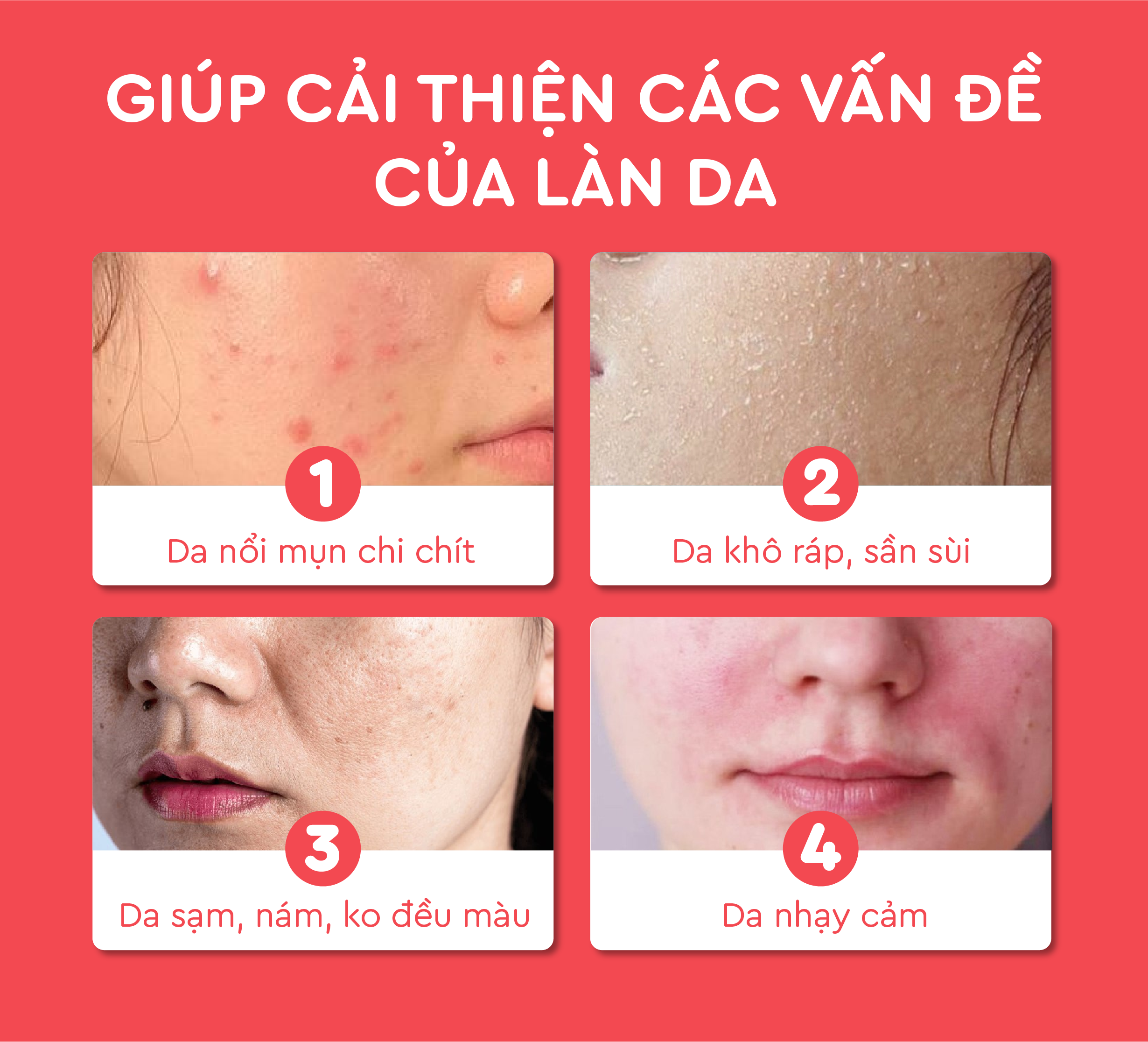 Mô tả Sữa Rửa Mặt Tạo Bọt Đậu Đỏ Cỏ Cây Hoa Lá 150g Giúp Làm Sạch Dịu Nhẹ, Mềm Mại, Sáng Mịn - 1