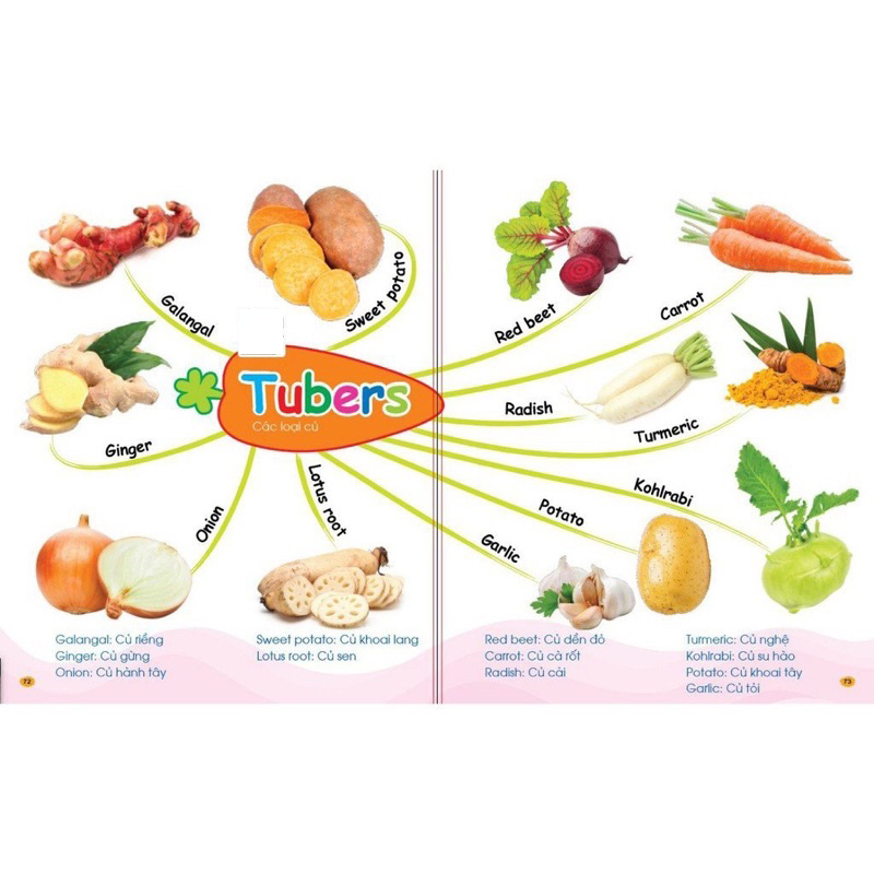 Mô tả Sách - Mindmap Chinh phục từ vựng Tiếng Anh theo sơ đồ tư duy Mind map cho bé Đánh vần tập viết - 5