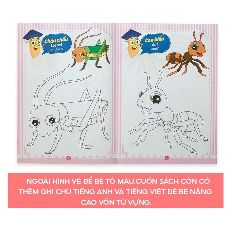 Mô tả Sách - Tập Tô Màu Cho Bé Từ 4-5 Tuổi Bộ 8 Quyển Tô Màu Song Ngữ Anh Việt - 2