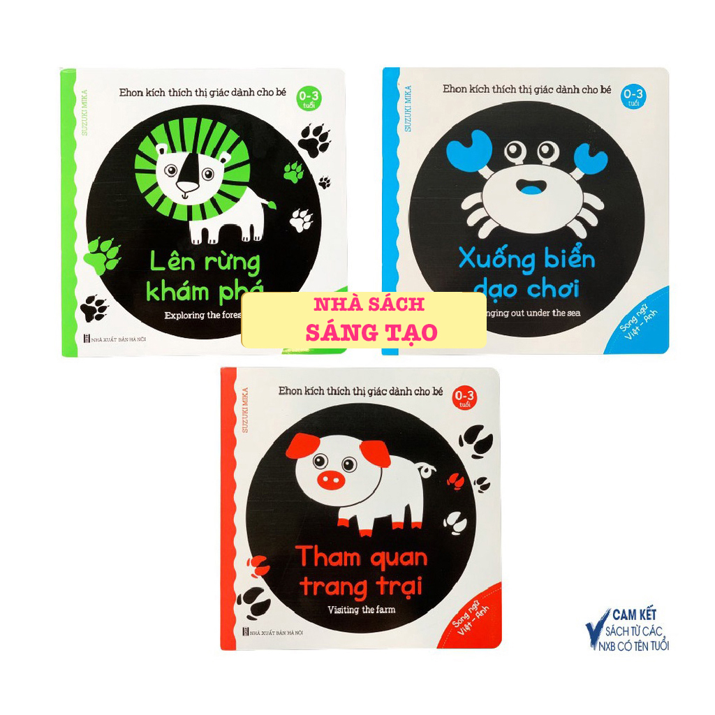 Mô tả Flash Card Kích Thích Thị Giác - Zic Zắc (4 Tấm) - 8