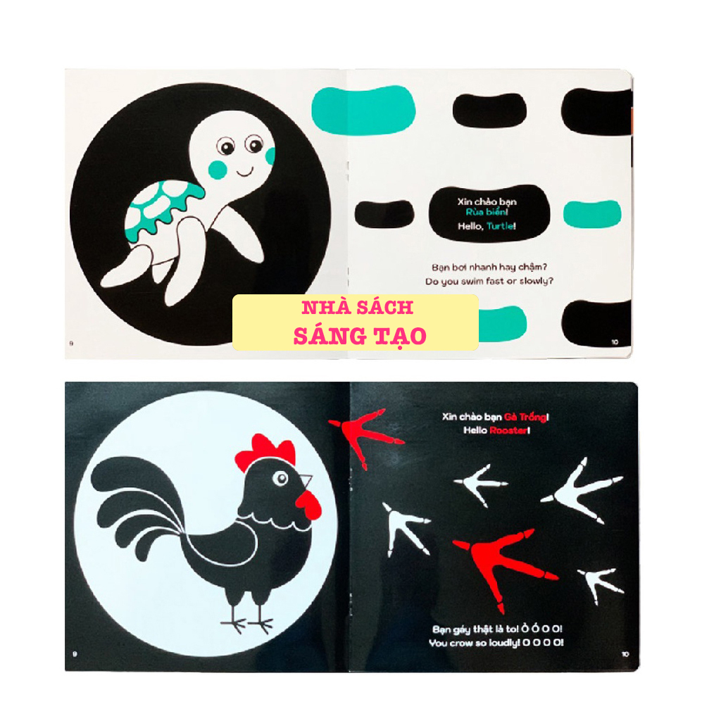 Mô tả Flash Card Kích Thích Thị Giác - Zic Zắc (4 Tấm) - 10