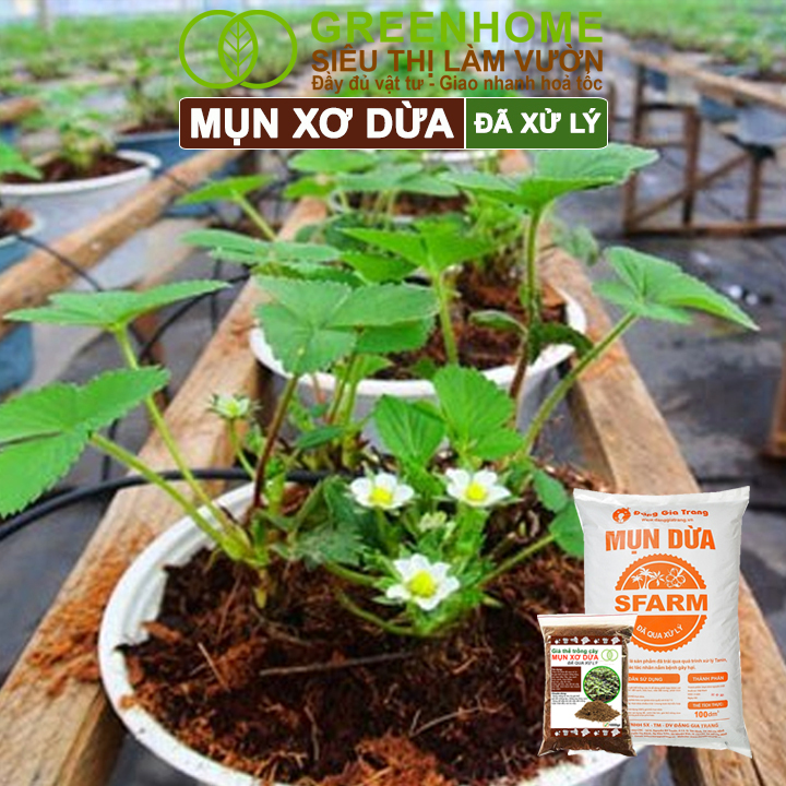 Mô tả Mụn Xơ Dừa Greenhome, Sfarm, Bao 500gr, Đã Qua Xử Lý, Chuyên Trồng Rau, Hoa Màu, Cây Ăn Trái - 6