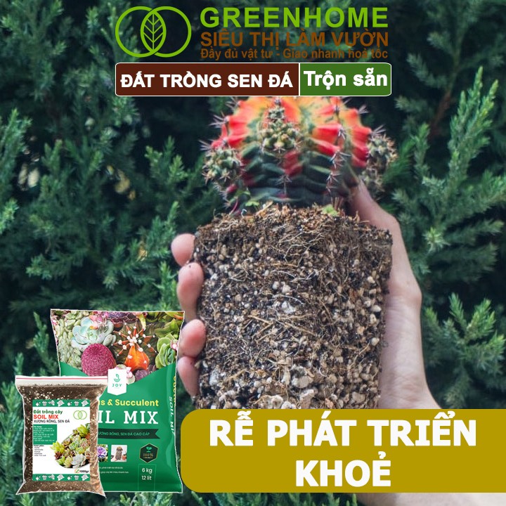 Đất trồng sen đá Soil Mix Greenhome