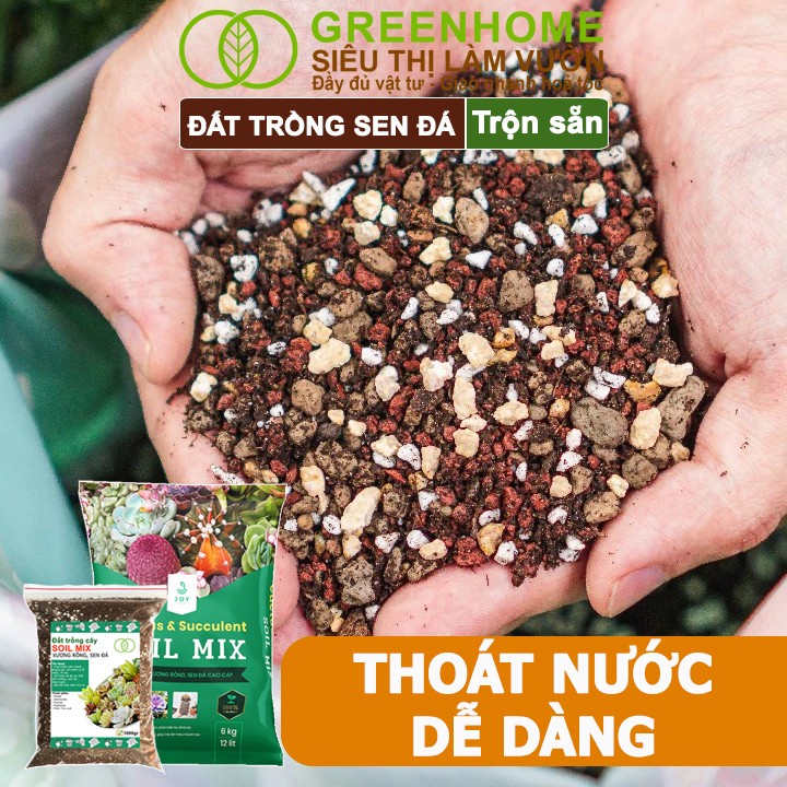 Đất trồng cho cây kiểng lá