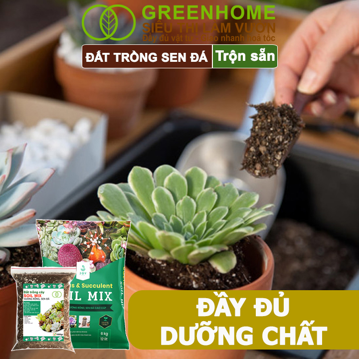 Mô tả Đất Trồng Sen Đá Greenhome, Soil Mix, Bao 500gr, Trộn Sẵn, 85% Đá Khoáng, Lên Màu, Thoát Nước Tốt - 7