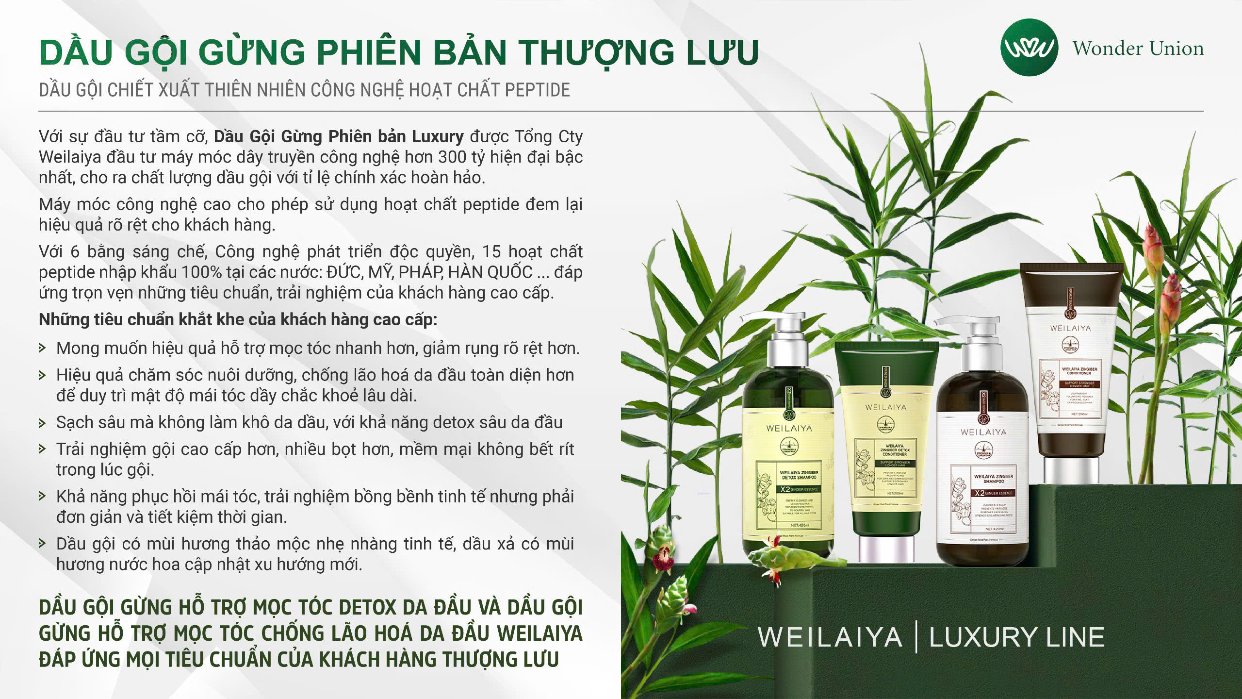Mô tả Bộ Gội Xả Gừng Xanh Detox Hỗ Trợ Mọc Tóc & Ngăn Lão Hóa Da Đầu (Gội 420ml; Xả 200ml) - 1