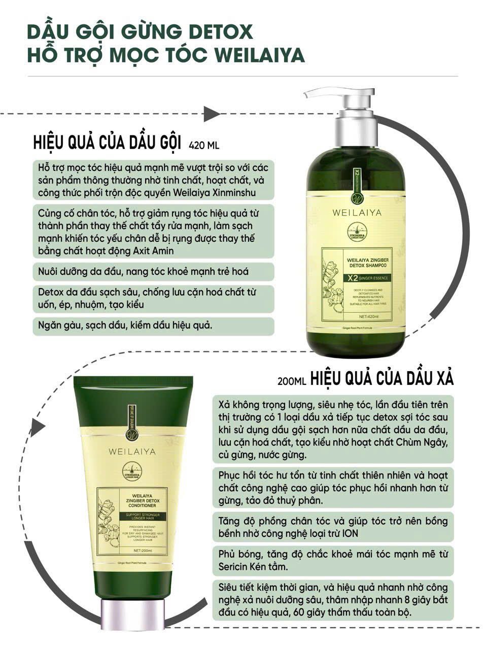 Mô tả Bộ Gội Xả Gừng Xanh Detox Hỗ Trợ Mọc Tóc & Ngăn Lão Hóa Da Đầu (Gội 420ml; Xả 200ml) - 2