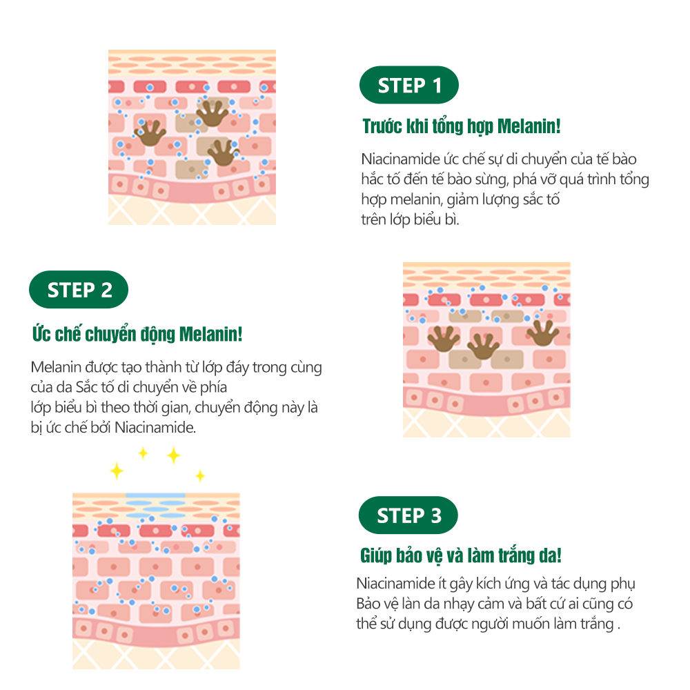 Mô tả Kem dưỡng trắng nâng tone làm đều màu da MIINSKIN Whitening Glowy Toning Cream 70ml - 4