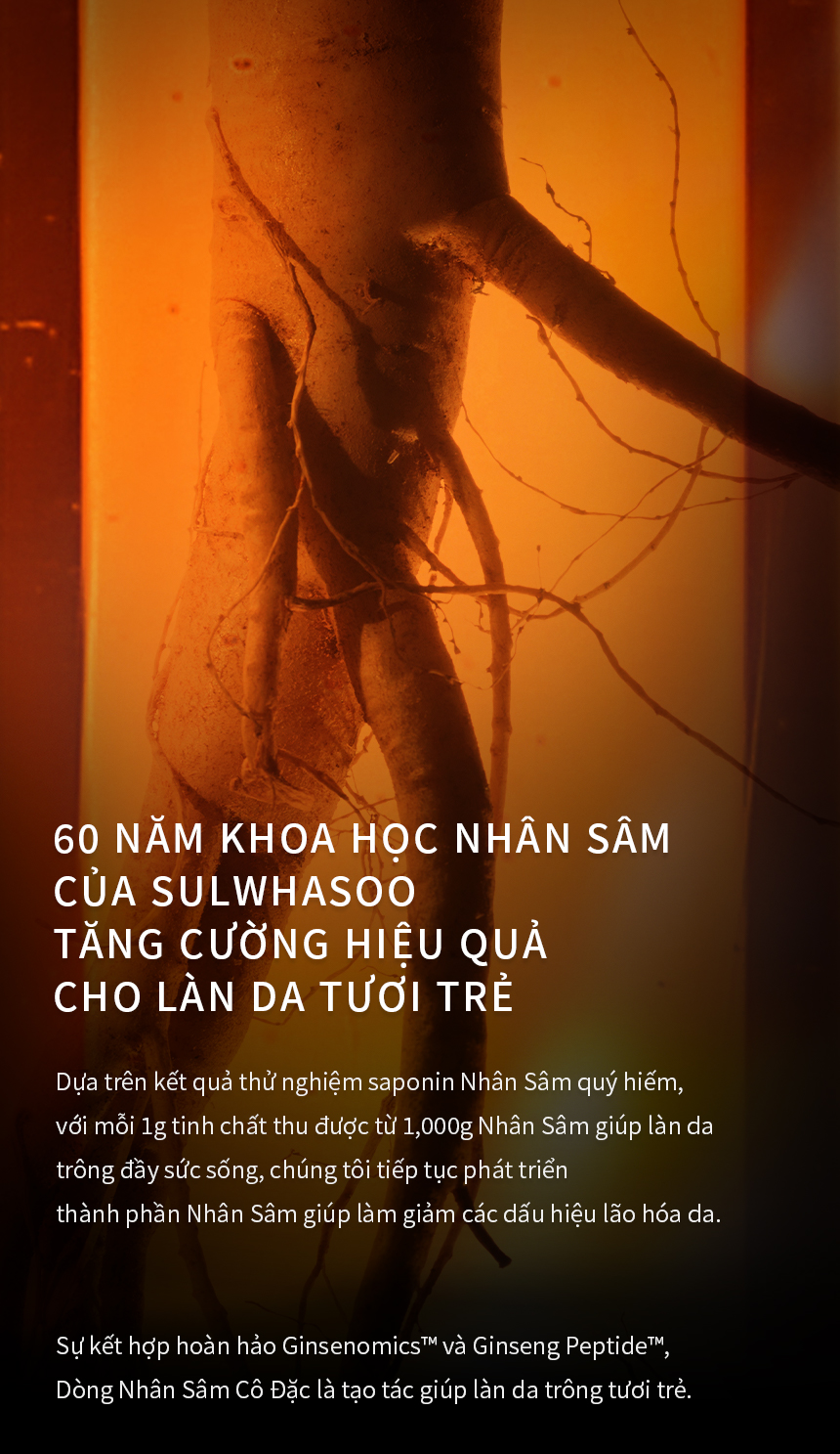 Mô tả Sữa Dưỡng Nhân Sâm Ngăn Ngừa Lão Hóa Da Sulwhasoo Concentrated Ginseng Rejuvenating Emulsion 125ml - 11