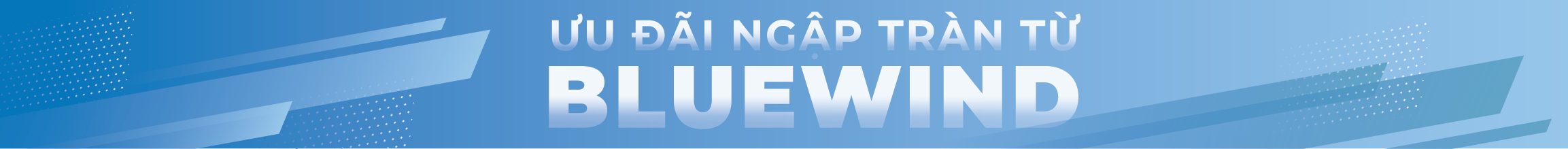Cam kết BLUEWIND