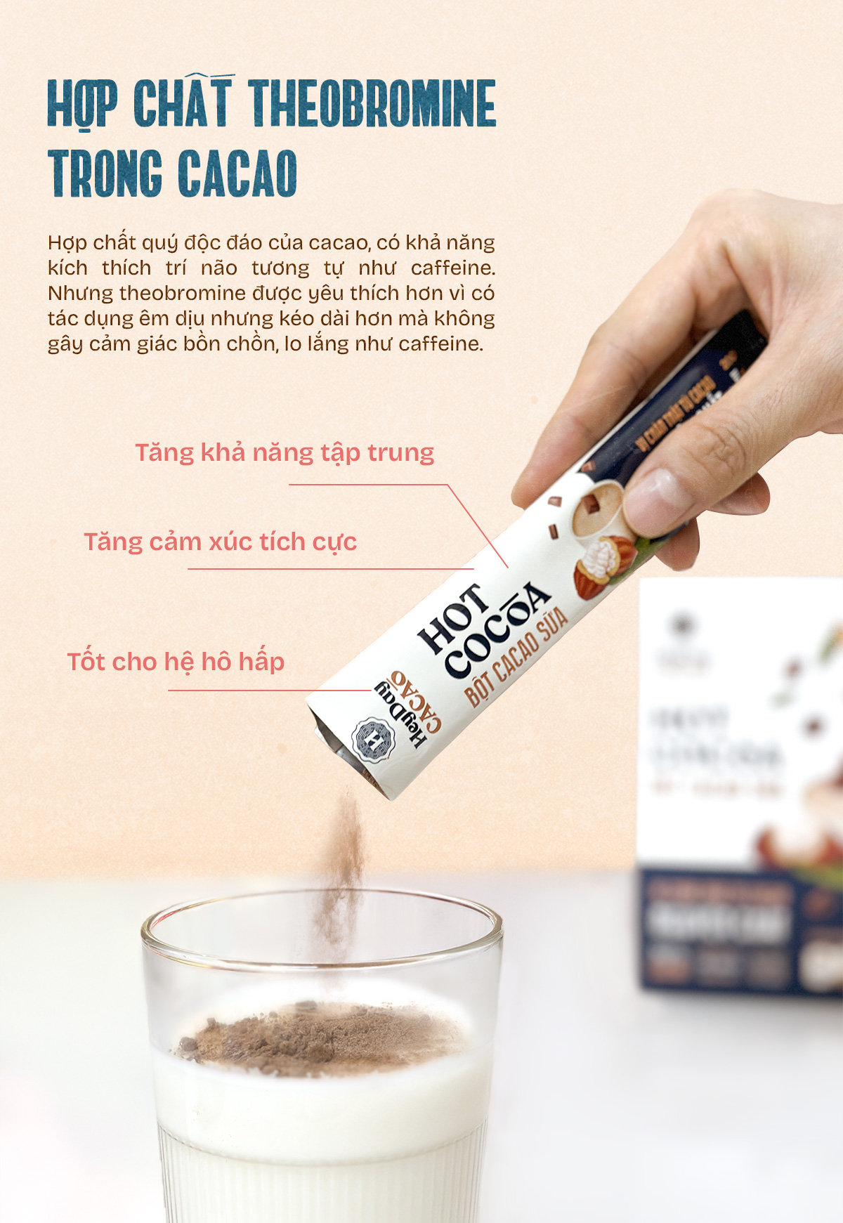 Mô tả Bột Cacao Sữa Heyday - Đậm Vị Chân Thật Từ Cacao Nguyên Chất - Hộp Giấy 12 Gói x 20g - 2