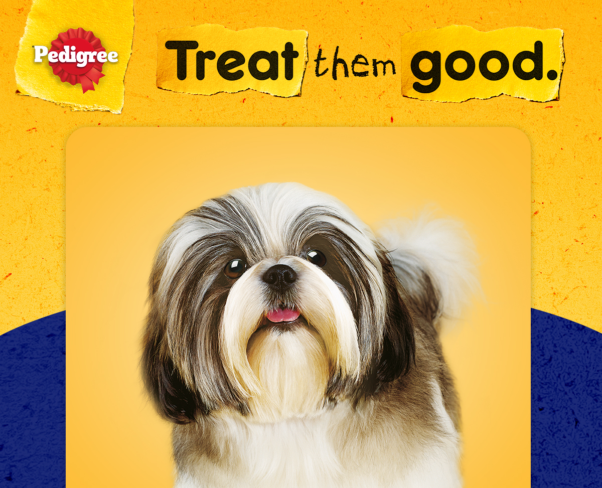Mô tả Bộ 3 bánh xương chó nhỏ Pedigree Dentastix 75g - 1