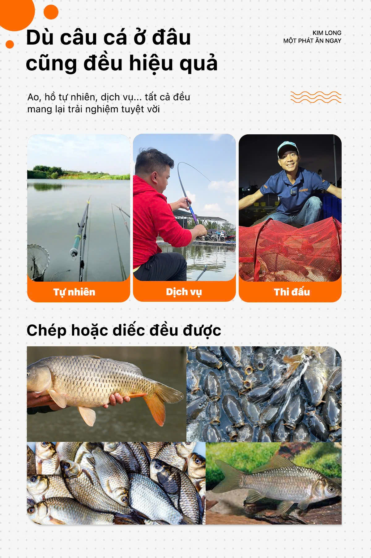 Gạo Rươu Câu Cá Kim Long 750g | Shopee Việt Nam