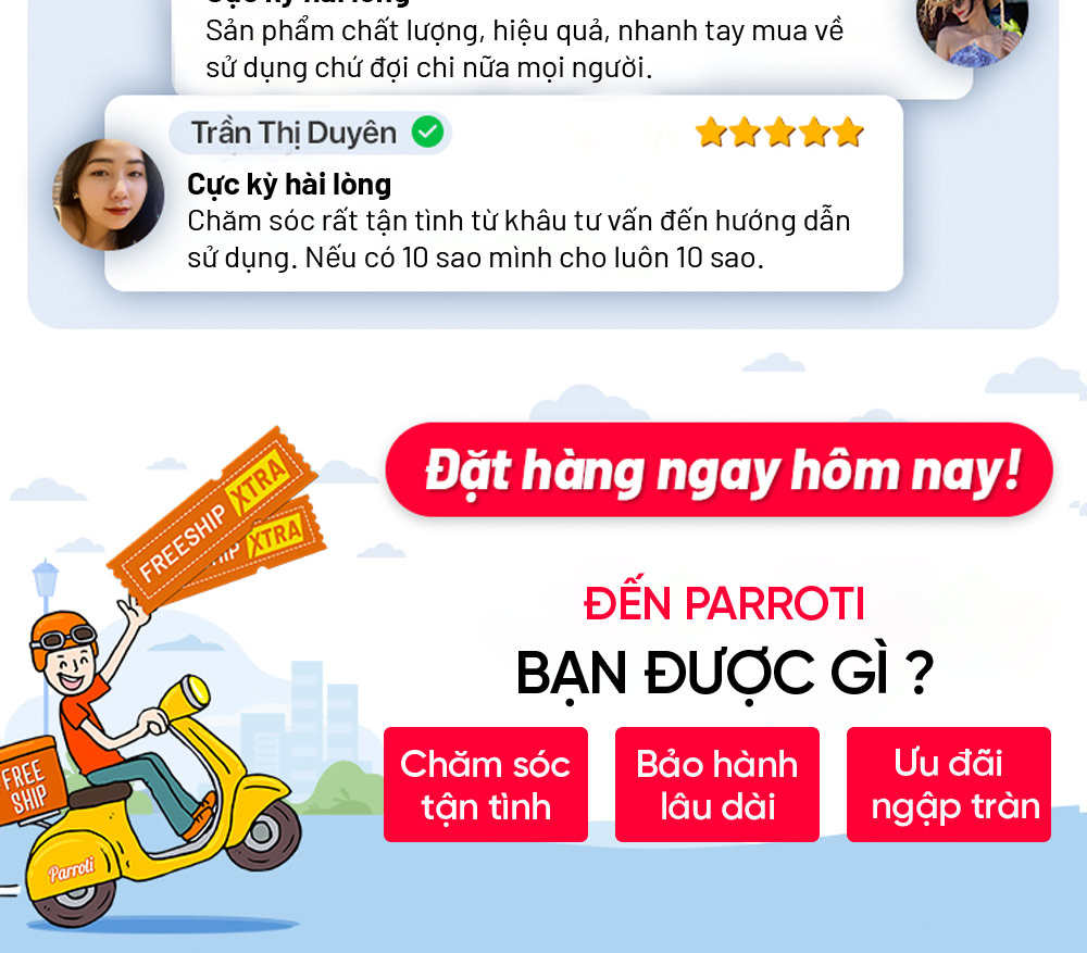 Cam kết từ Parroti