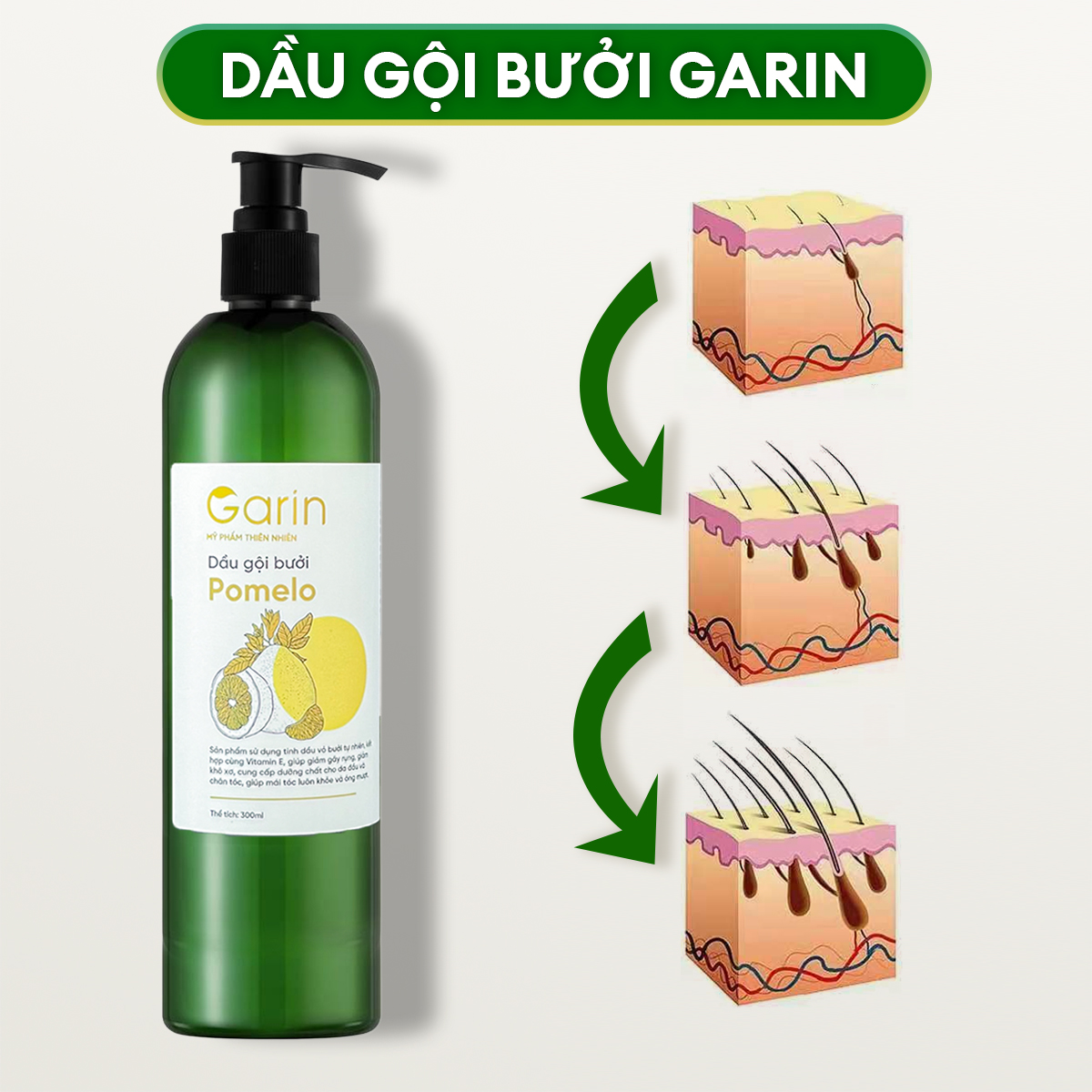 Sản phẩm Garin