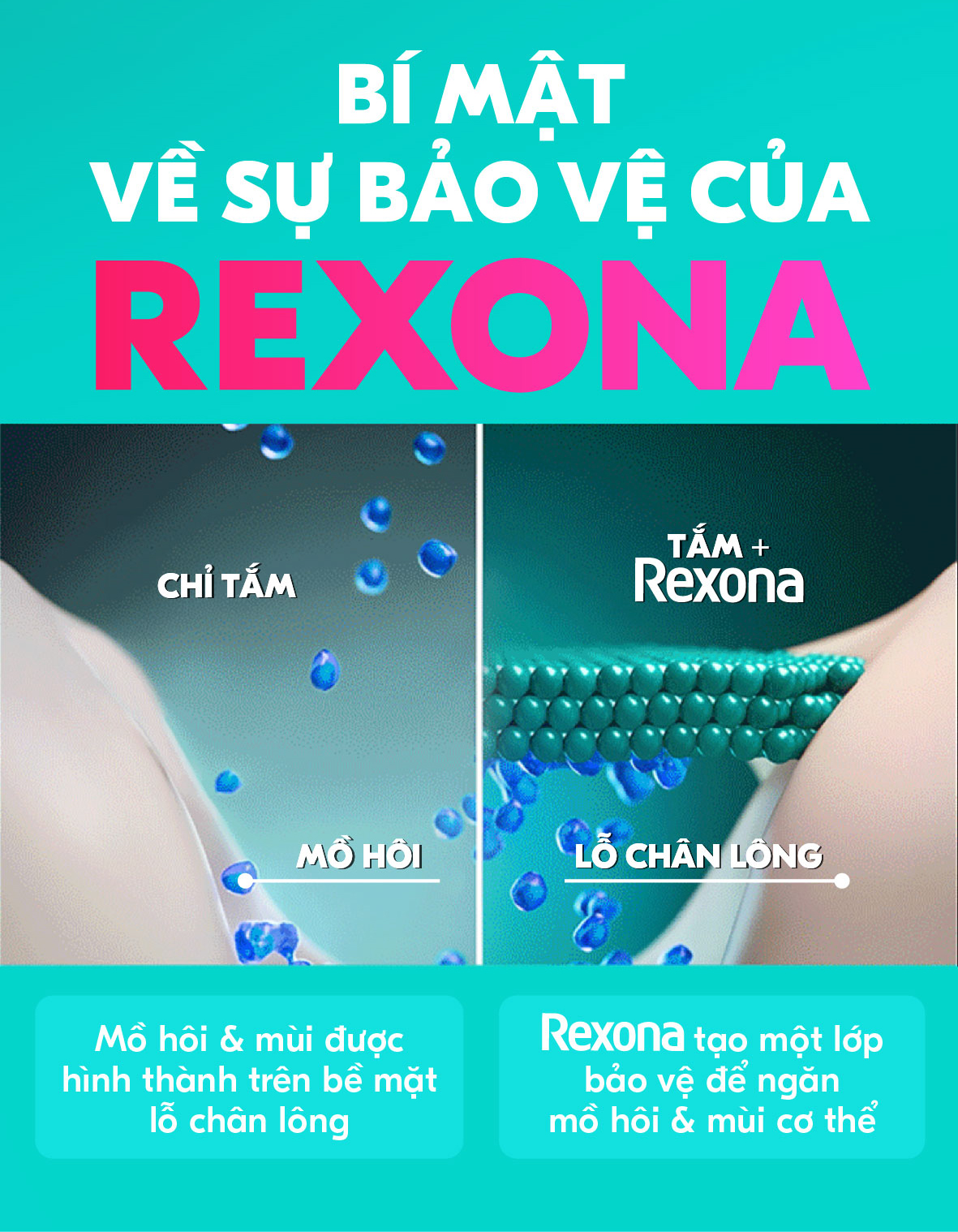Mô tả Xịt/lăn khử mùi Rexona 72H khô thoáng dành cho nữ 135/45ml - 5