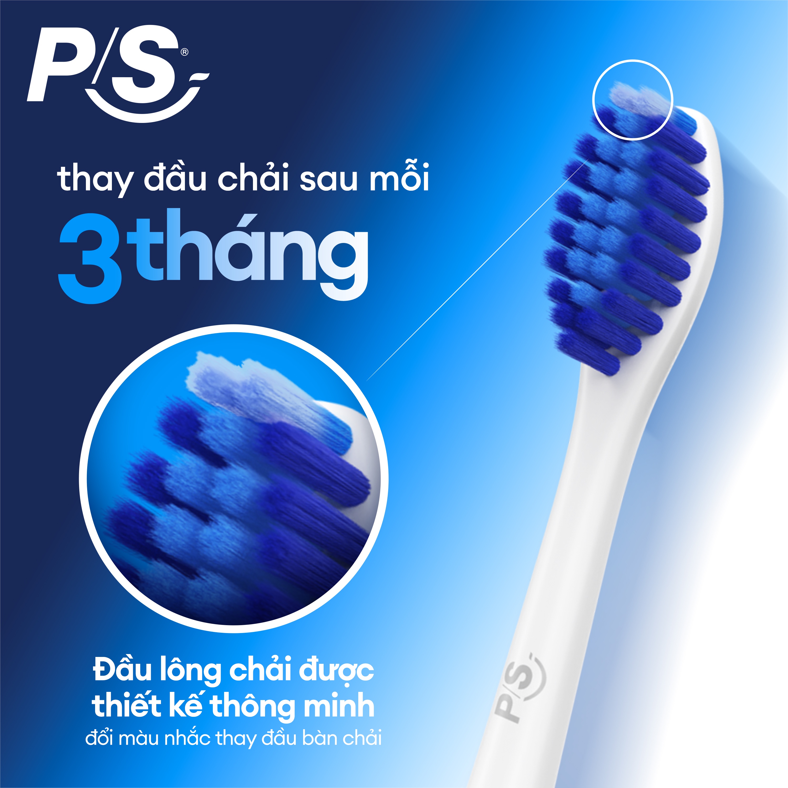 Mô tả Bộ 2 đầu bàn chải điện P/S (Thay đầu bàn chải mỗi 3 tháng) - 5