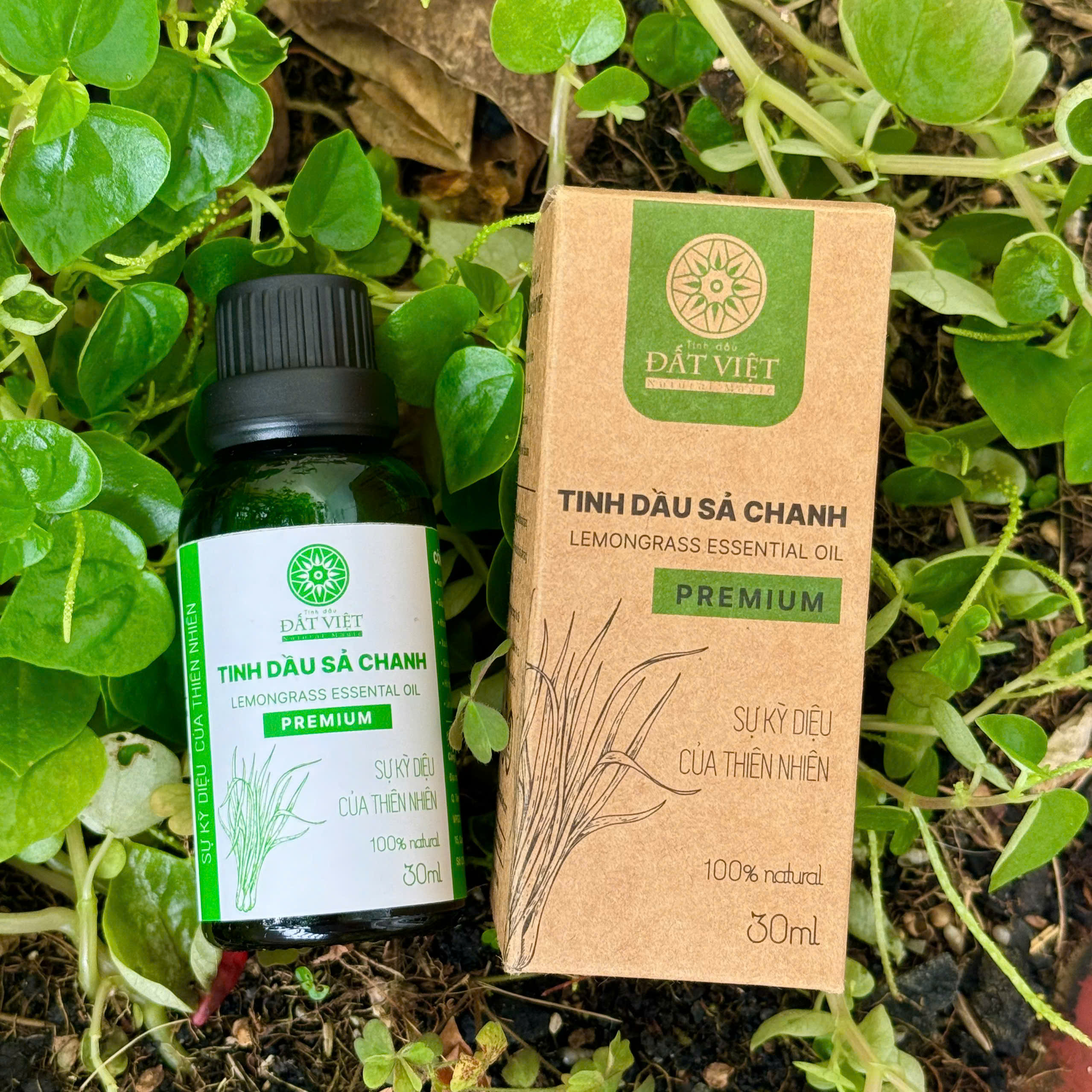 Mô tả Tinh dầu sả chanh thơm phòng Đất Việt dung tích 30ml & 50ml - Xông hương, đuổi muỗi - 2