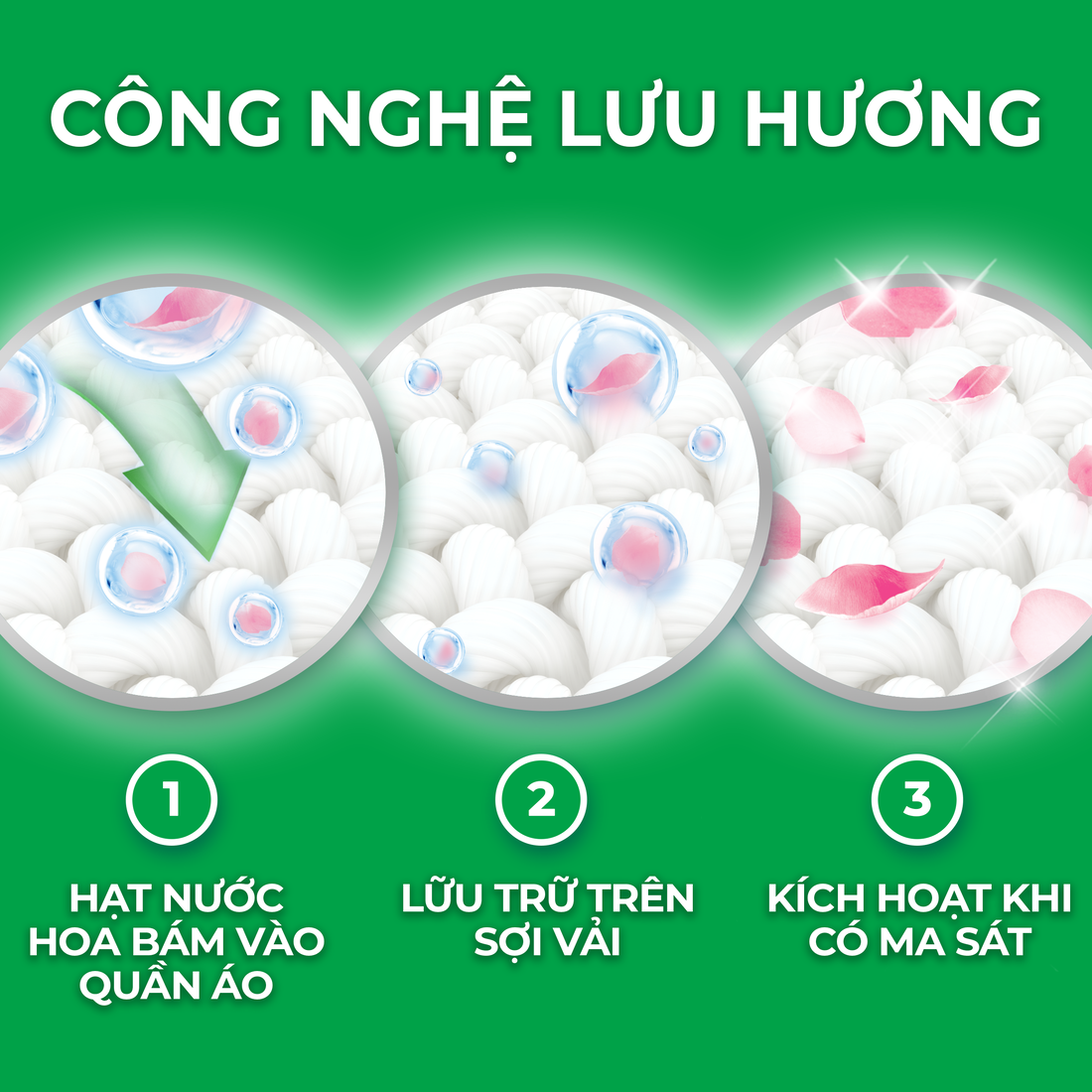 Nước Giặt Ariel Hương Downy Nước Hoa
