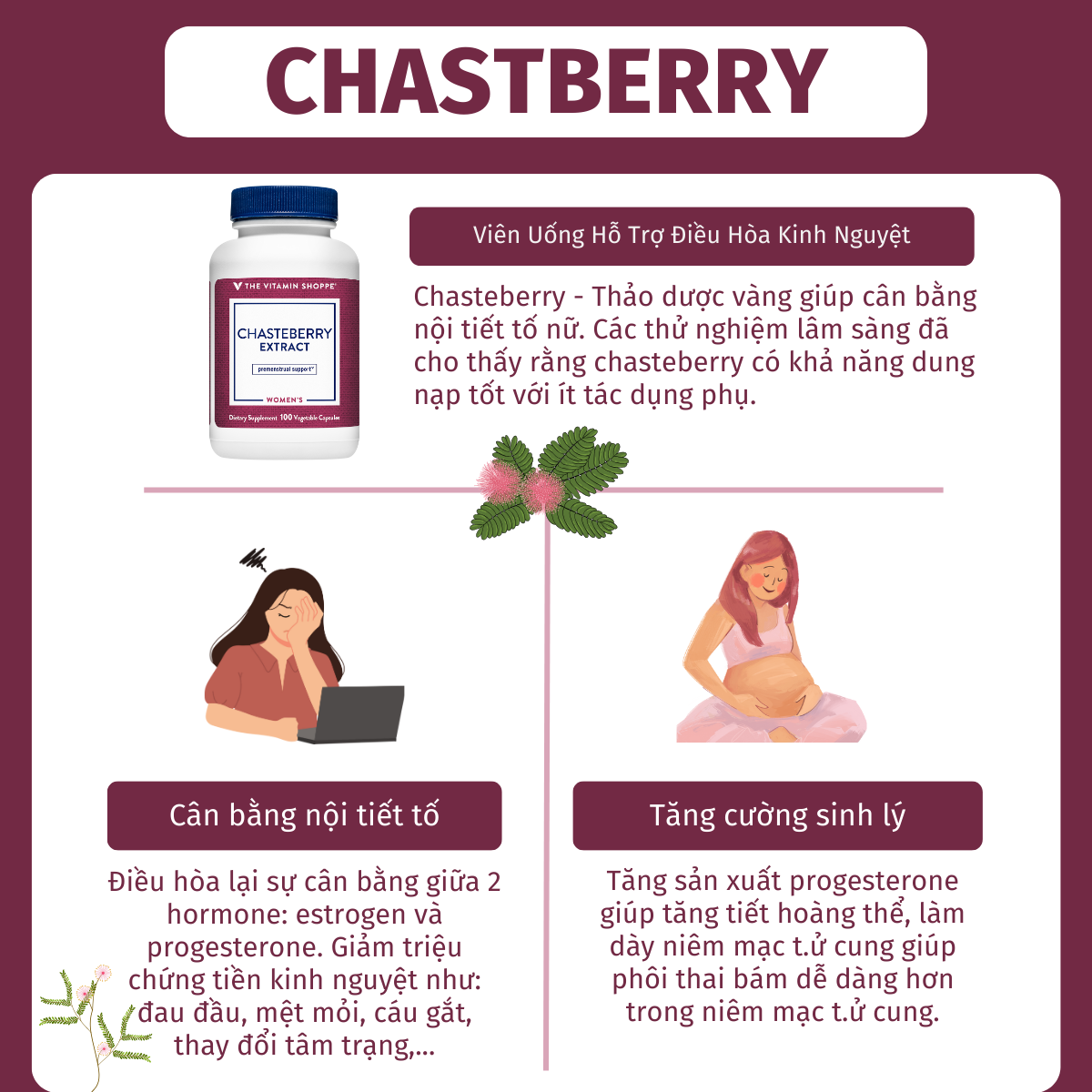 Mô tả Viên uống điều hòa kinh nguyệt THE VITAMIN SHOPPE Chasteberry Extract 100 viên - 2