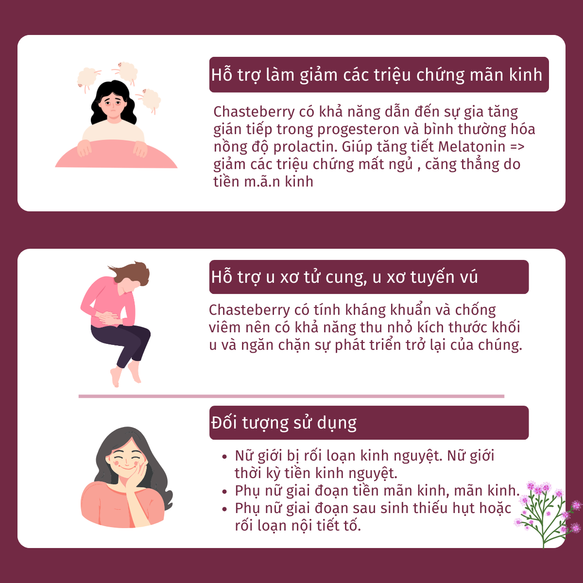 Mô tả Viên uống điều hòa kinh nguyệt THE VITAMIN SHOPPE Chasteberry Extract 100 viên - 3