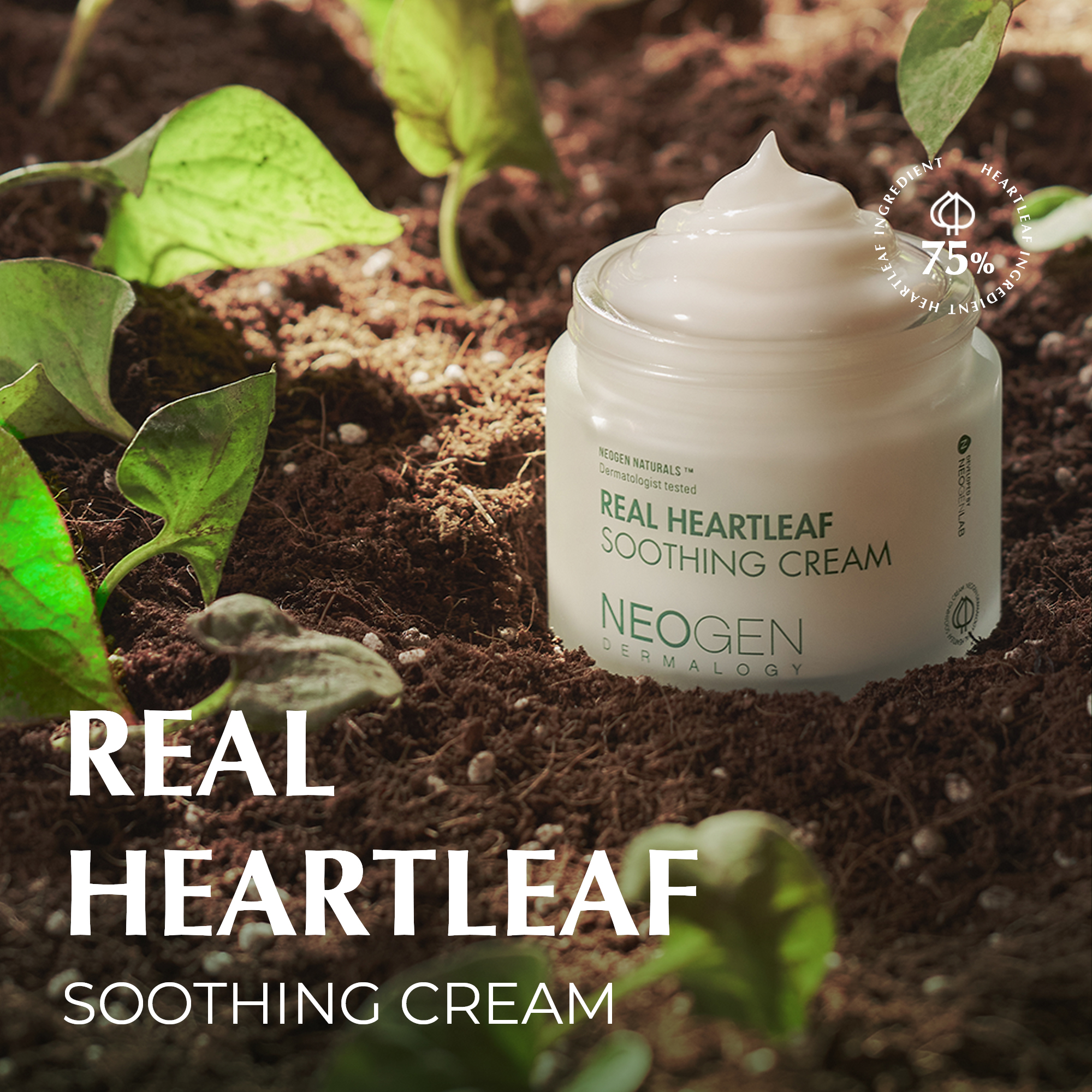 Mô tả Kem Dưỡng Làm Dịu, Phục Hồi Cho Da Nhạy Cảm Neogen Dermalogy Real Heartleaf Soothing Cream 80g - 1