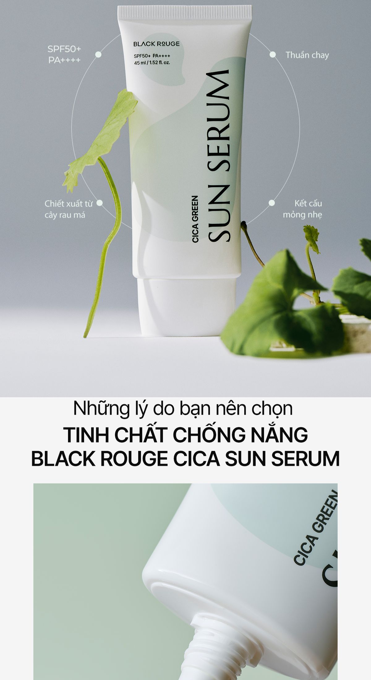Mô tả Tinh Chất Chống Nắng Black Rouge Cica Green Sun Serum Hàn Quốc SPF50+ PA+++++ 3ml - 2