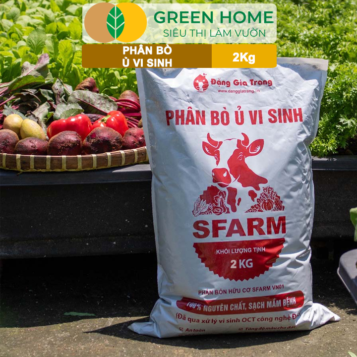 Phân bò ủ vi sinh tăng sức đề kháng