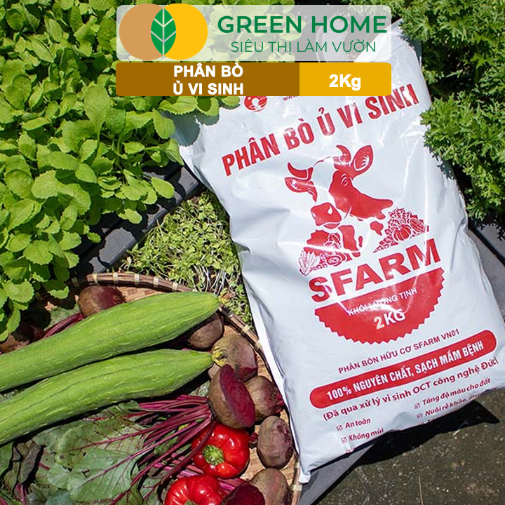 Phân bò ủ vi sinh hạn chế nóng rễ