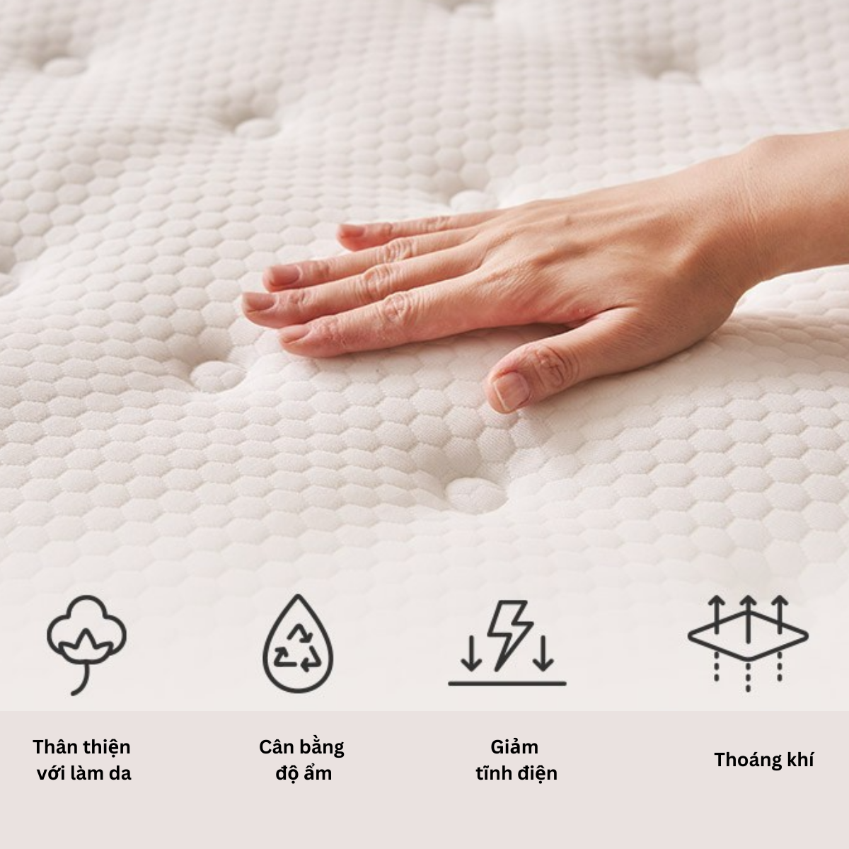 Mô tả NỆM LÒ XO TÚI HÚT CHÂN KHÔNG Cao Cấp SAMICK REST DEEP BASIC Cao 26cm  - Nâng đỡ cơ thể - 4
