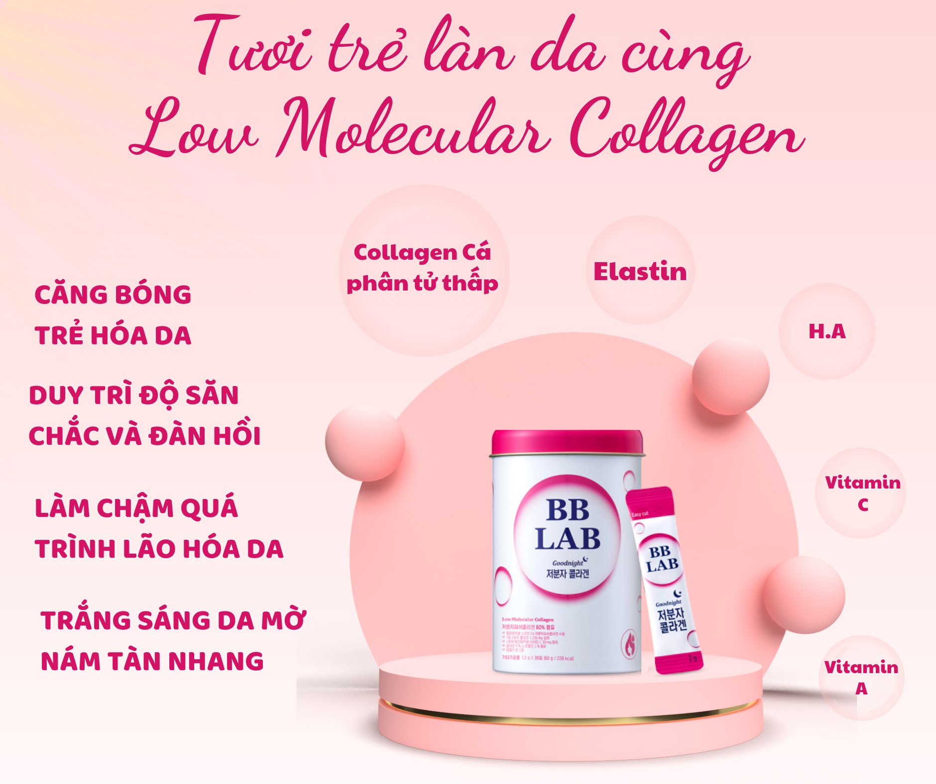 Thành phần BB LAB The Elastin