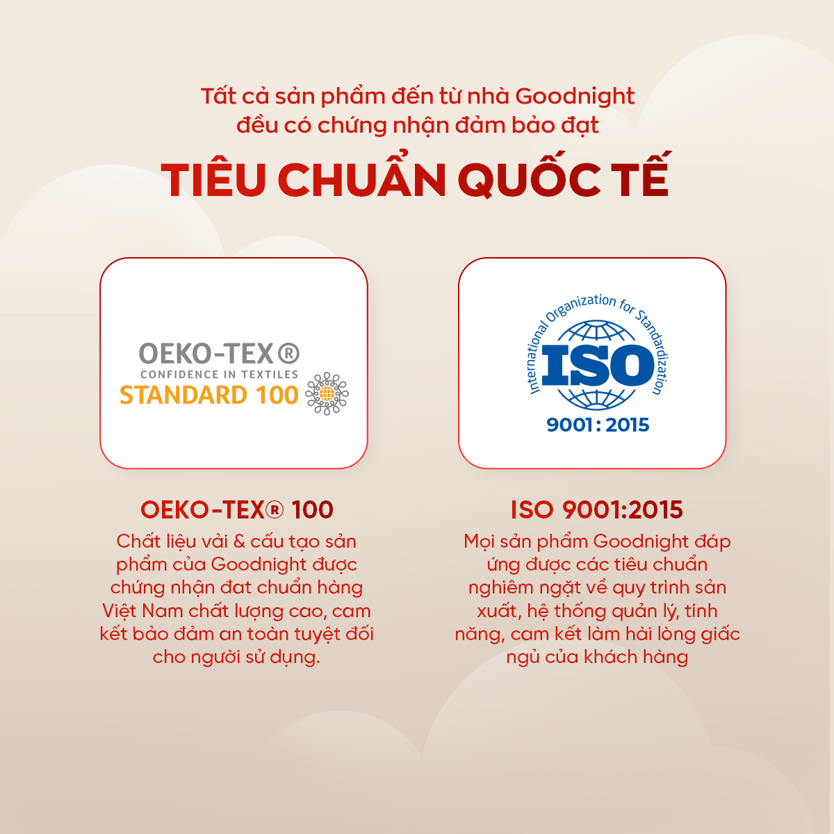 Mô tả Nệm Lò Xo Vua Nệm Goodnight Sleep Wave 20cm, Đệm Lò Xo Khách Sạn Cách Ly Chuyển Động - 5