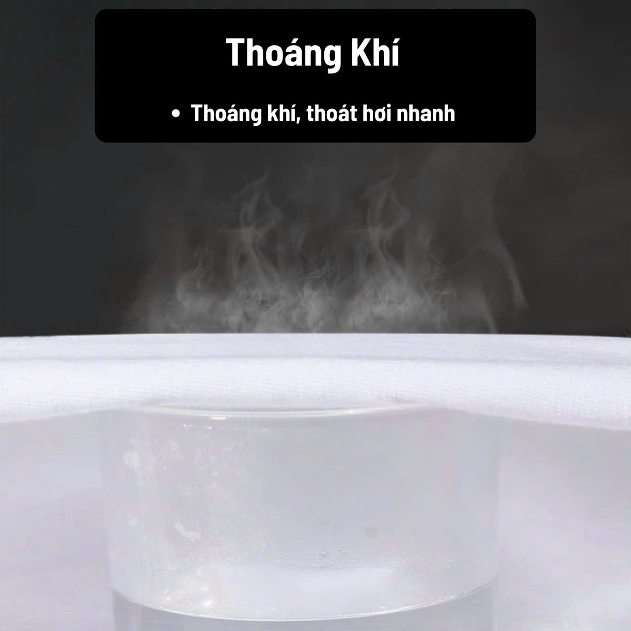 Áo sơ mi tay ngắn Gấu 194