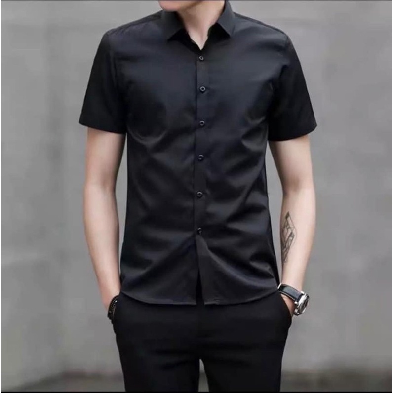 Áo sơ mi nam Gấu 194