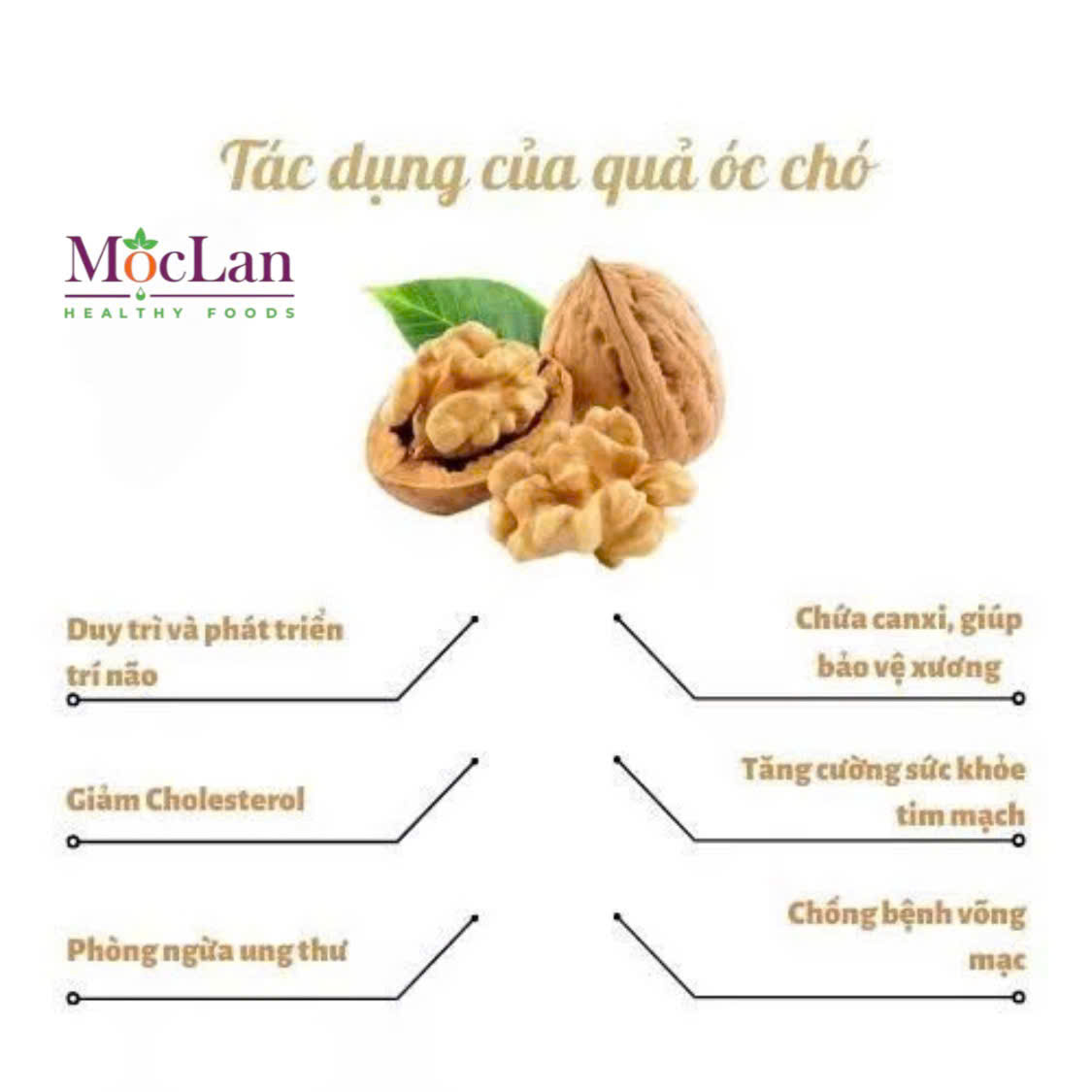 Mô tả Dầu Óc Chó Tự Nhiên Mộc Lan  100ml - 250ml Omega 369 phụ nữ có thai, mẹ cho con bú, trẻ ăn dặm - 6