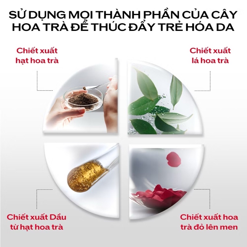 Mô tả Tinh chất dưỡng da Shiseido Ultimune Power Infusing 4.0 Serum 75ml - 5