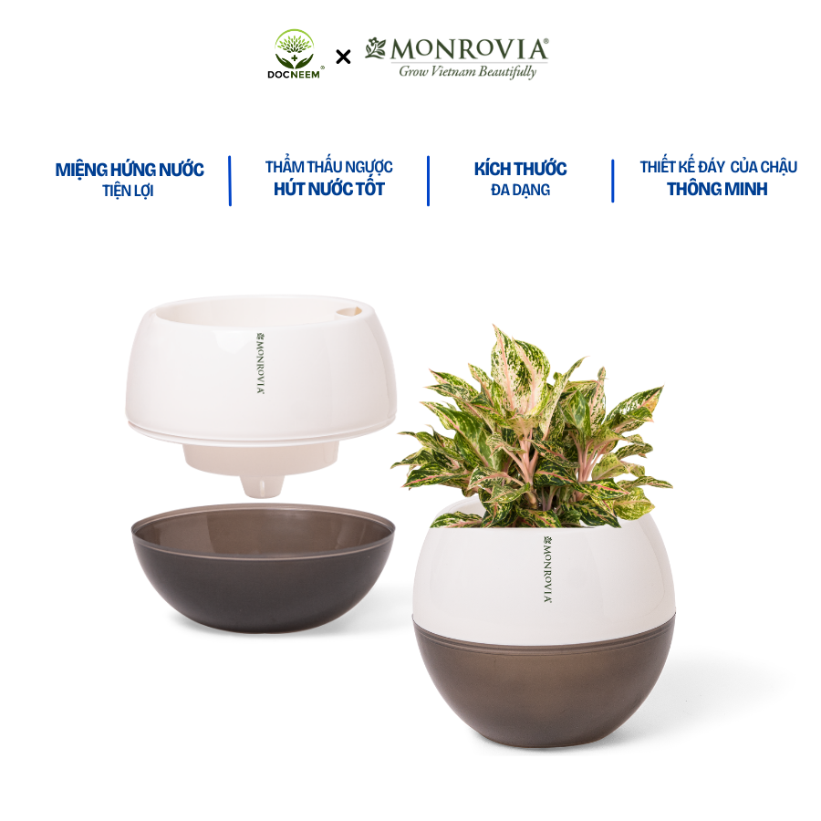 Mô tả Chậu tự tưới để bàn I0 Monrovia, dáng chậu tròn, chất liệu nhựa PP, màu sắc sang trọng - 1