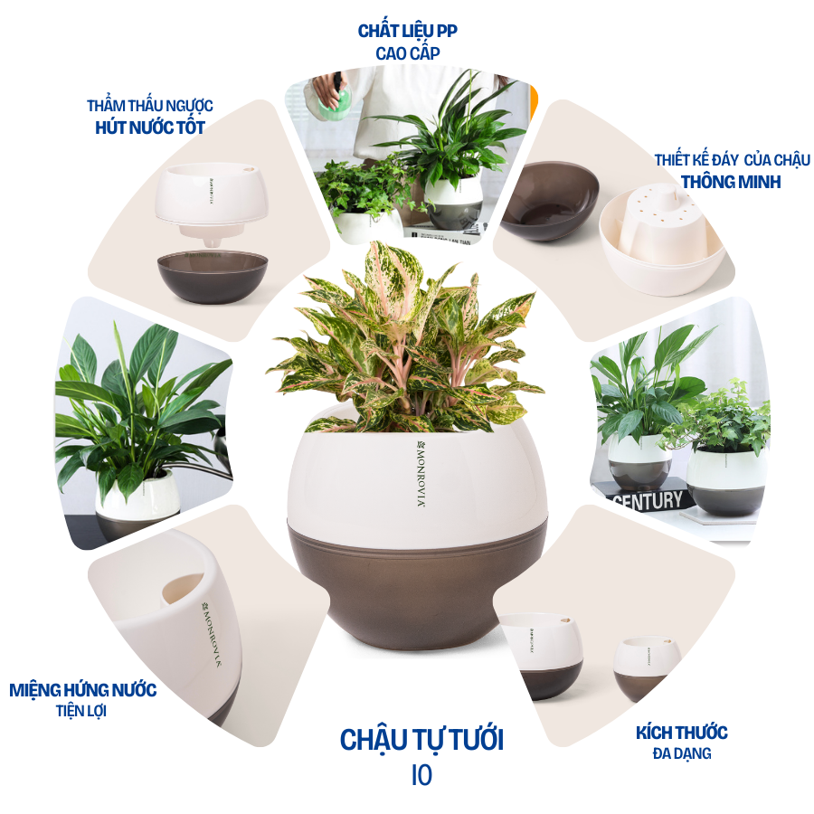 Mô tả Chậu tự tưới để bàn I0 Monrovia, dáng chậu tròn, chất liệu nhựa PP, màu sắc sang trọng - 2