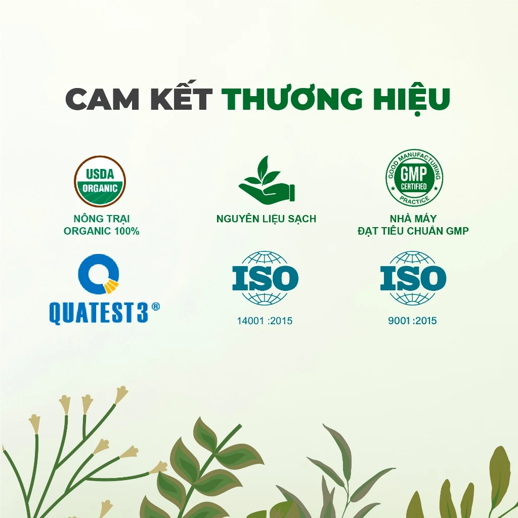 Mô tả Viên uống bổ mắt Logpatat hộp 60 viên chính hãng, Hỗ trợ tăng cường thị lực, chống mỏi mắt, quáng gà - 2