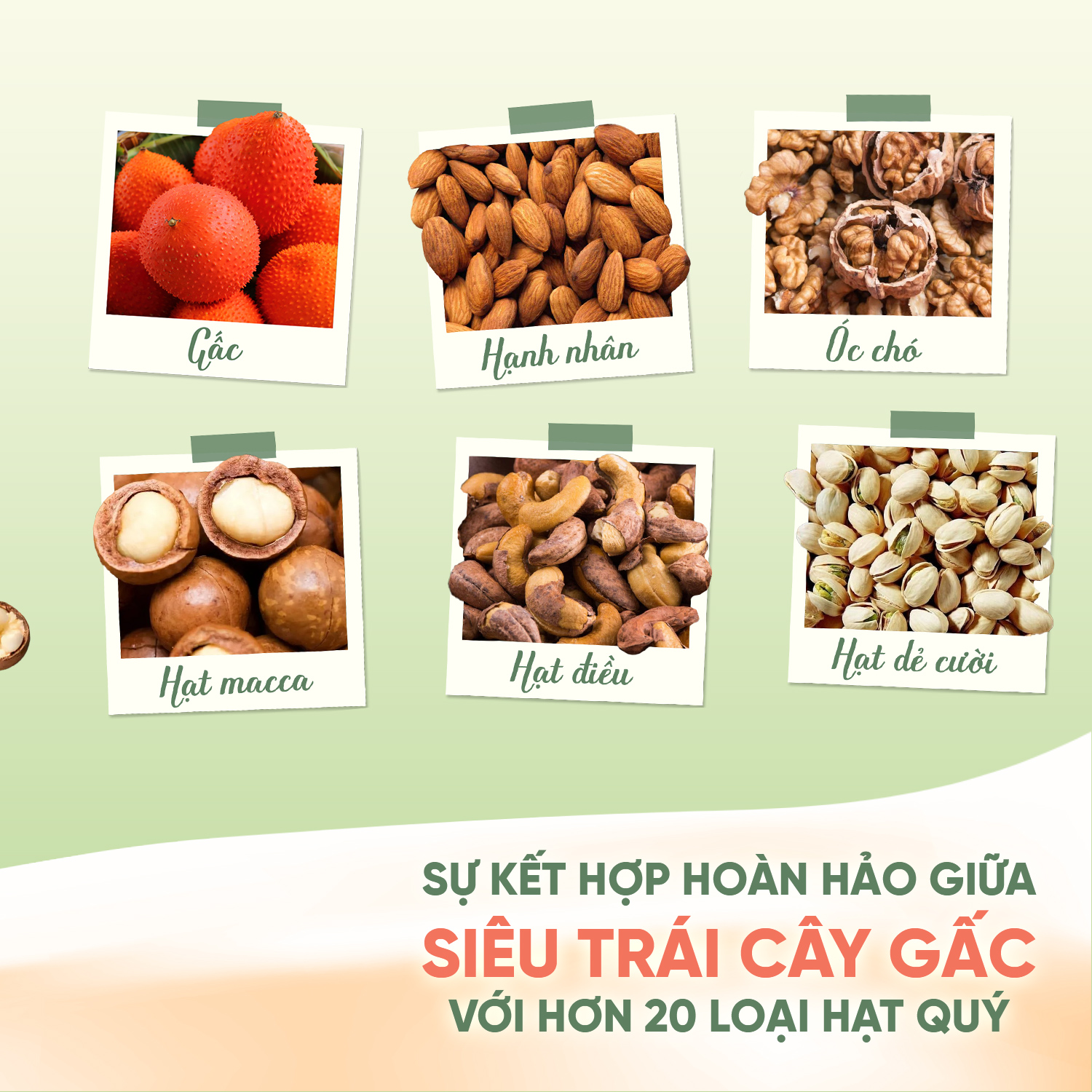 Mô tả Sữa Hạt Forganic Đa dưỡng chất 300G (10 gói) - Bổ sung dinh dưỡng, Sống khỏe mỗi ngày - 3
