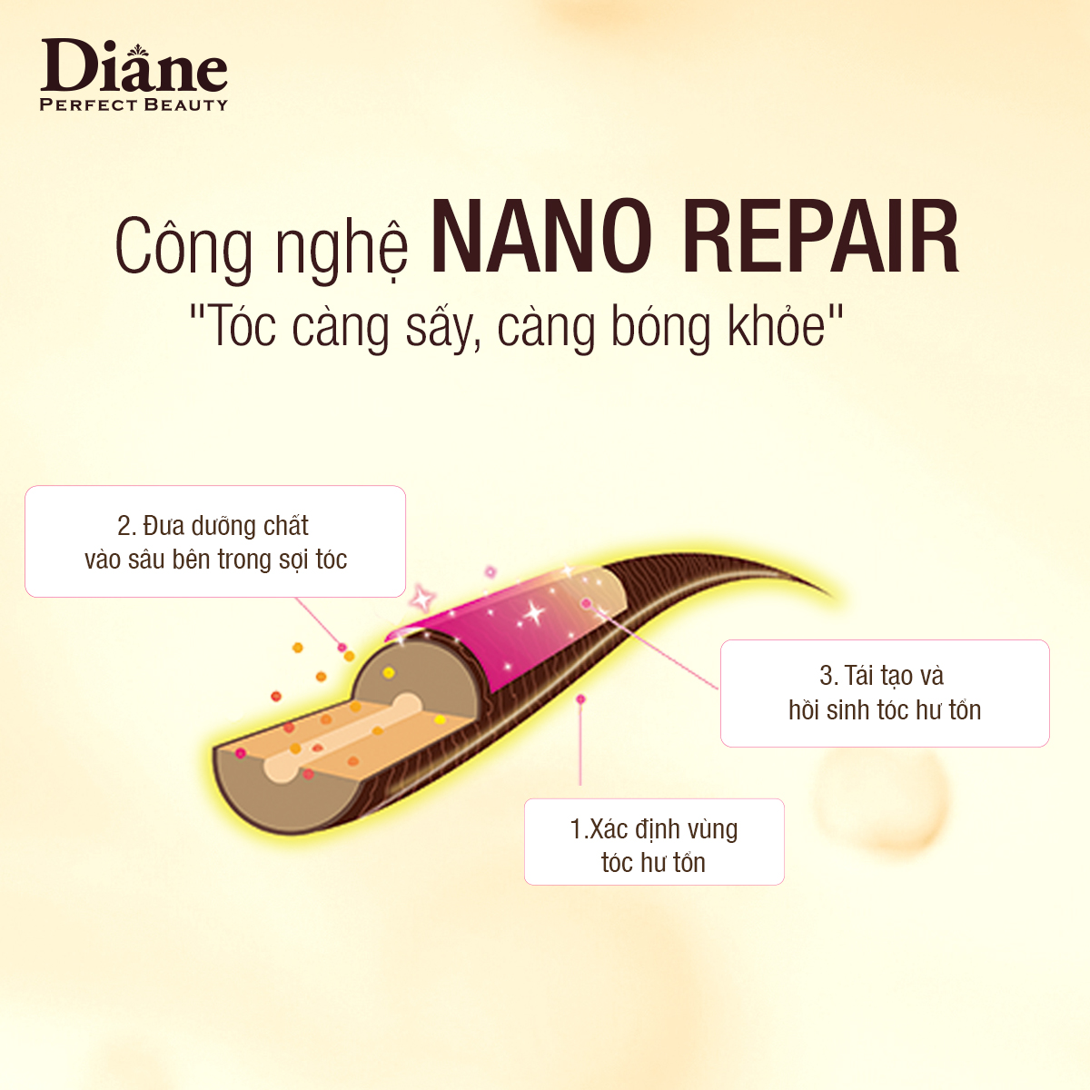 Mô tả Combo dầu gội xả phồng tóc hỗ trợ mọc tóc phục hồi khô xơ Moist Diane Extra Volume & Scalp 450ml*2 - 8