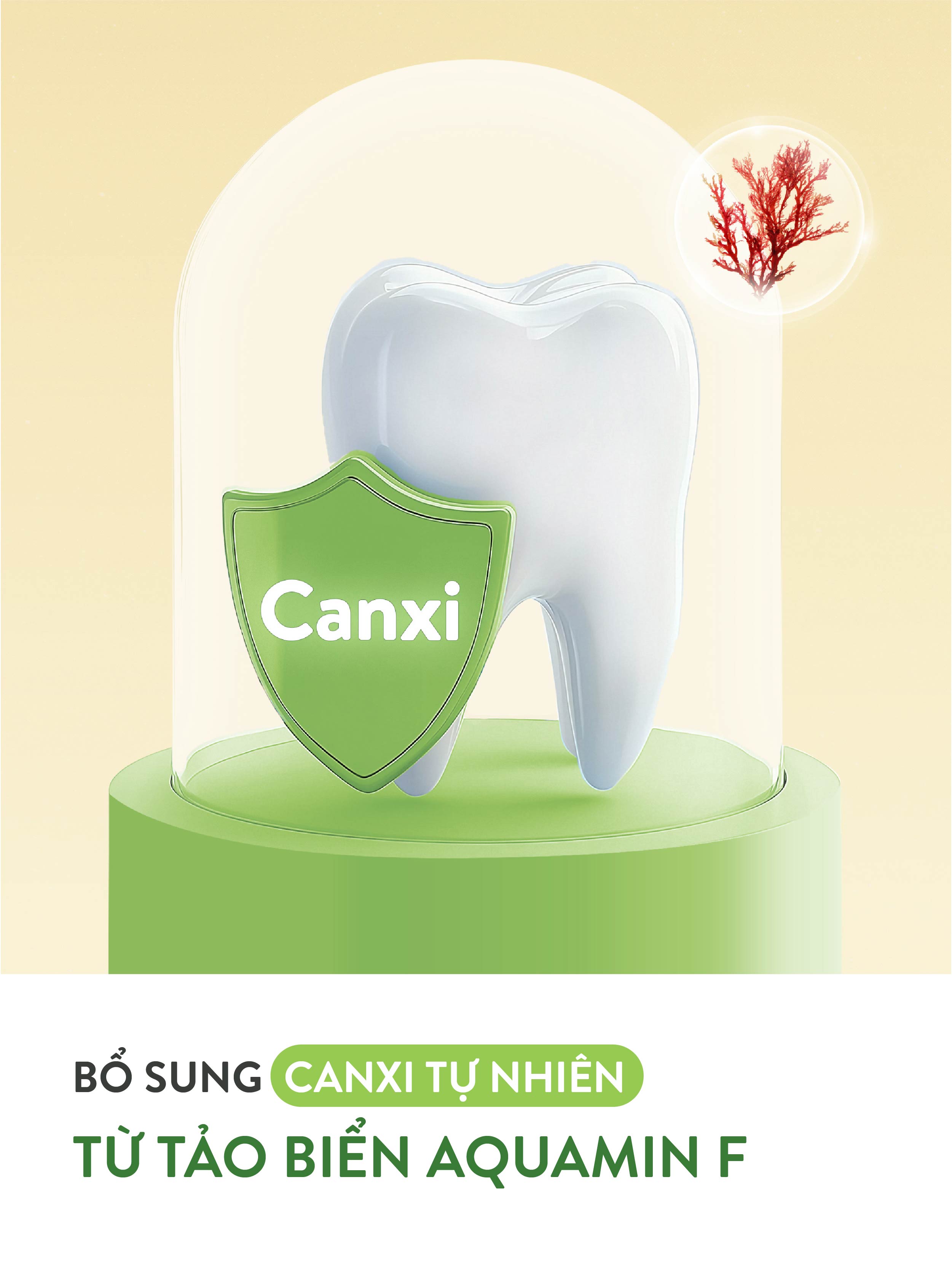 Mô tả Bánh ăn dặm hũ Mămmy vị trái cây và rau củ giúp hỗ trợ tiêu hoá cho bé 6 tháng tuổi, hũ 32-50g - 7